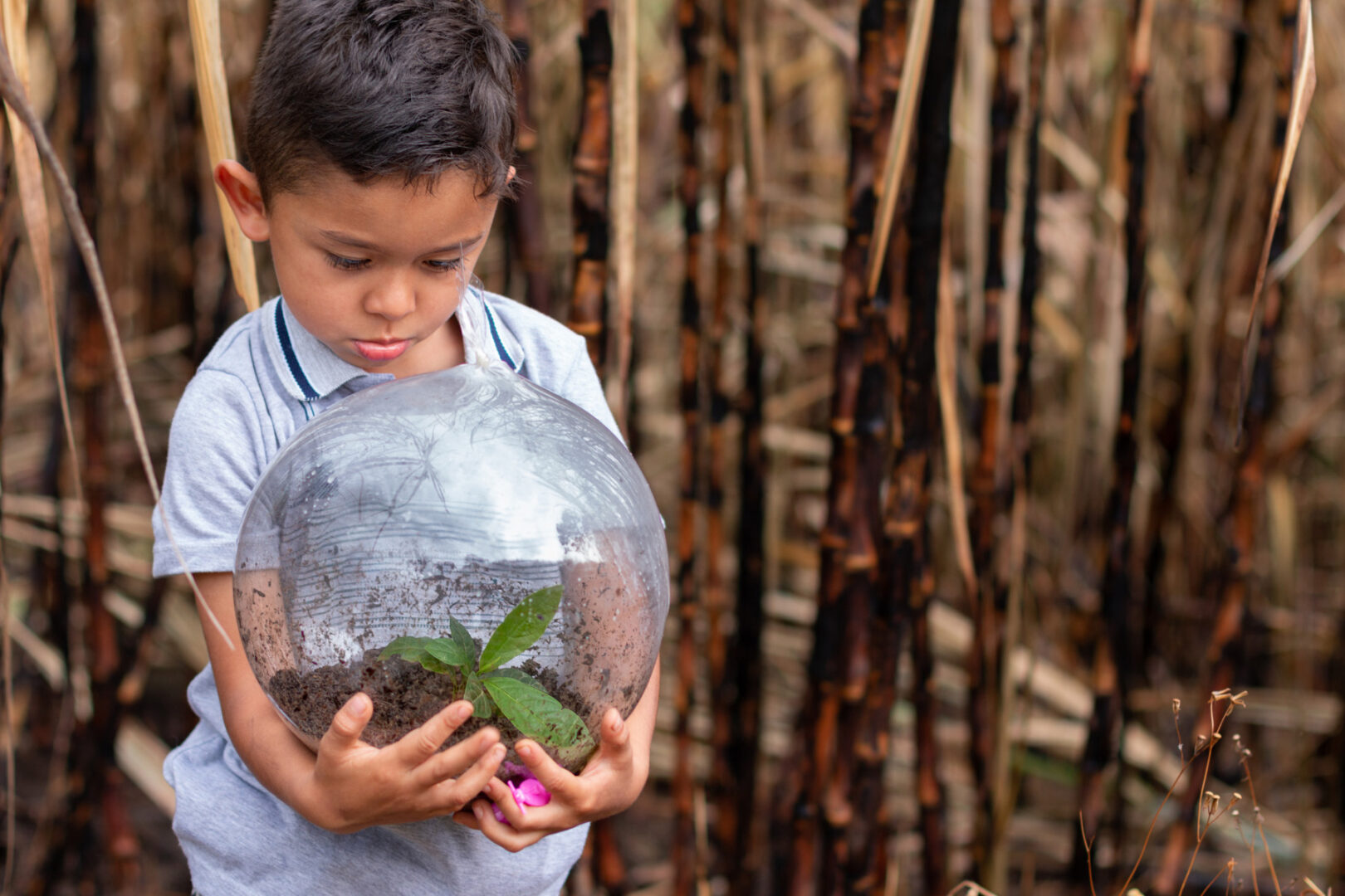 Boy in nature